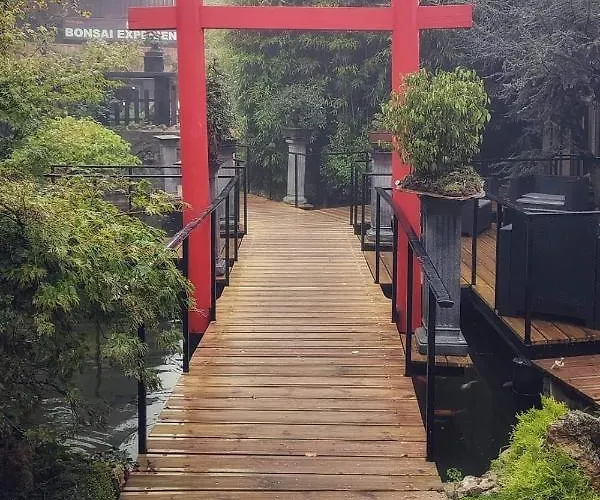 Hotel cerca del colegio: Zen Guest House - Museu Do Bonsai